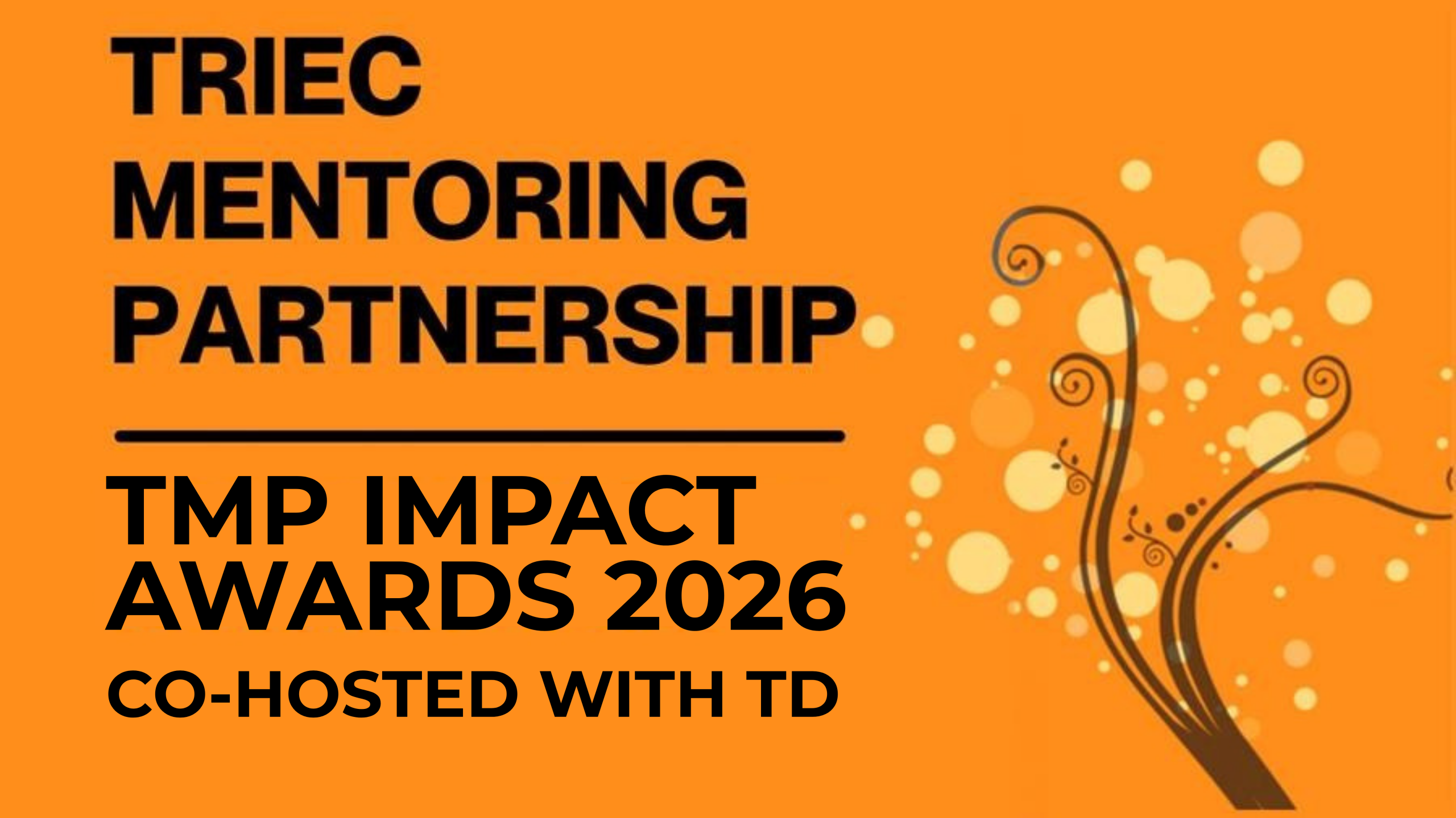 mentoring-partnership-branding